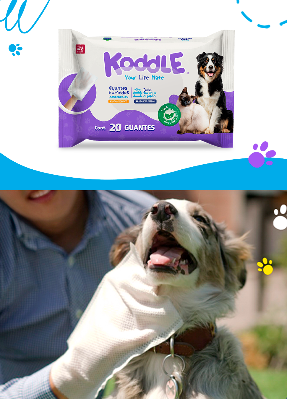 Launch of the Koddle pet grooming glove.